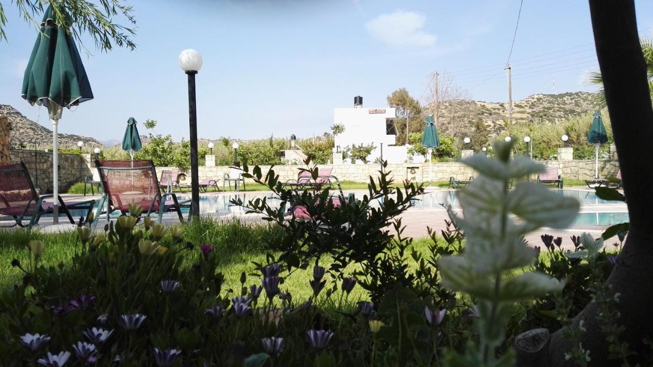 Dimitris Villa Hotel Μάταλα Εξωτερικό φωτογραφία
